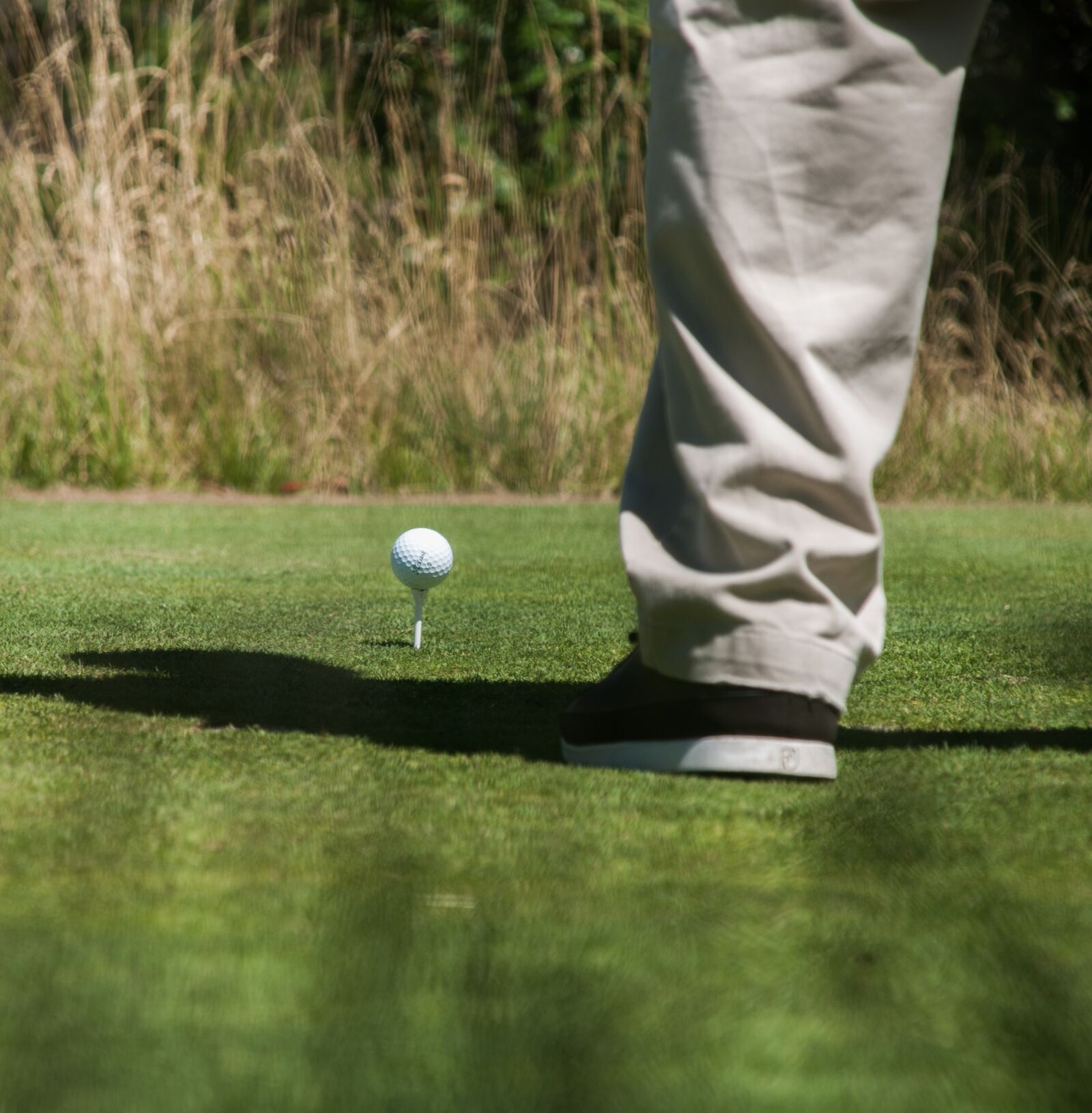 Nikon D300 sample photo. Golf, ball, sport photography
