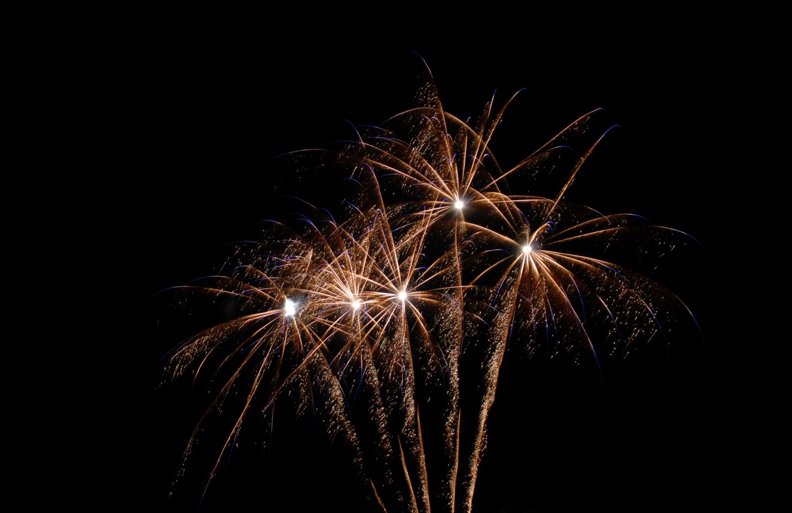 Nikon D200 sample photo. Fireworks, light, celebration photography