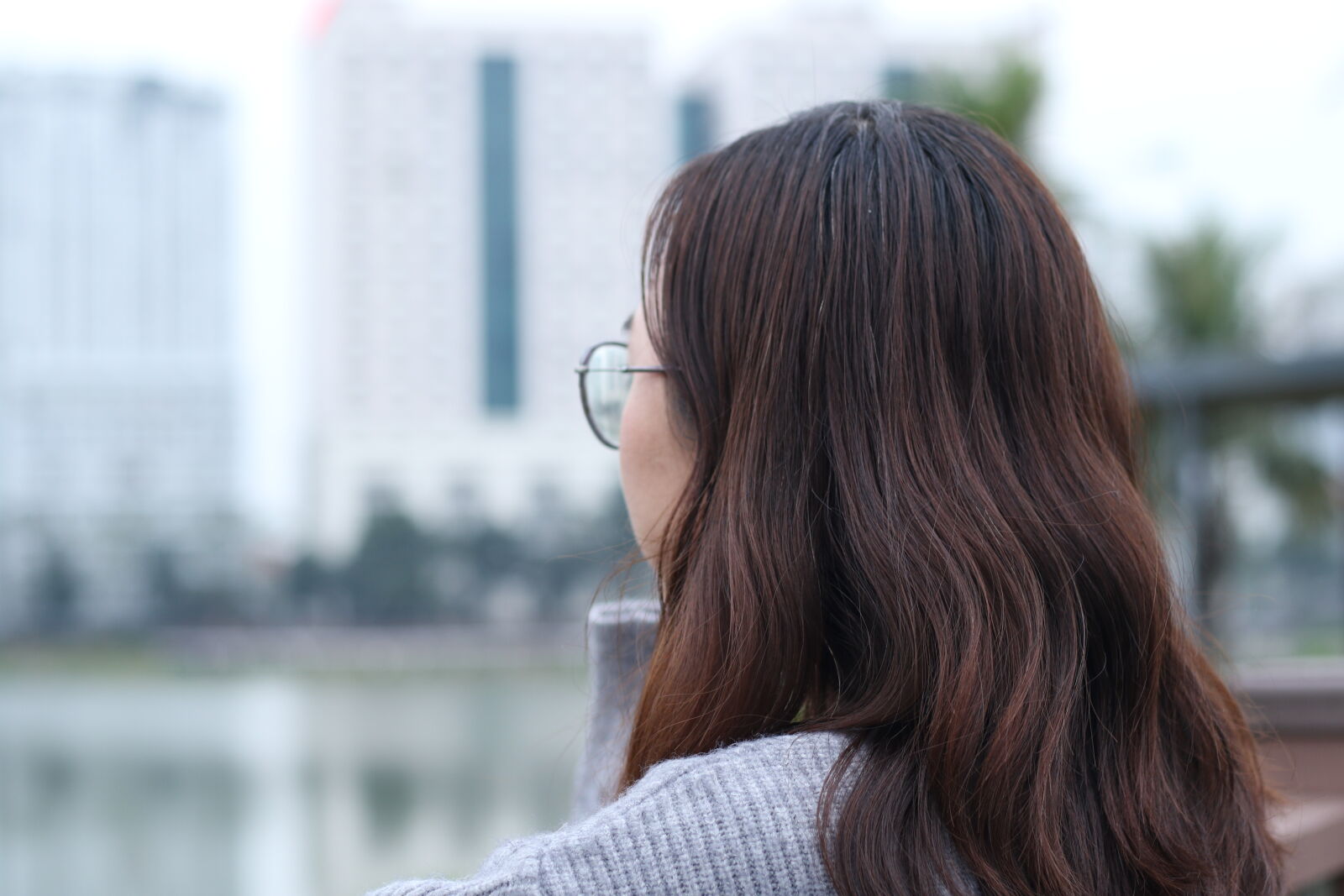 Canon EF 50mm F1.8 STM sample photo