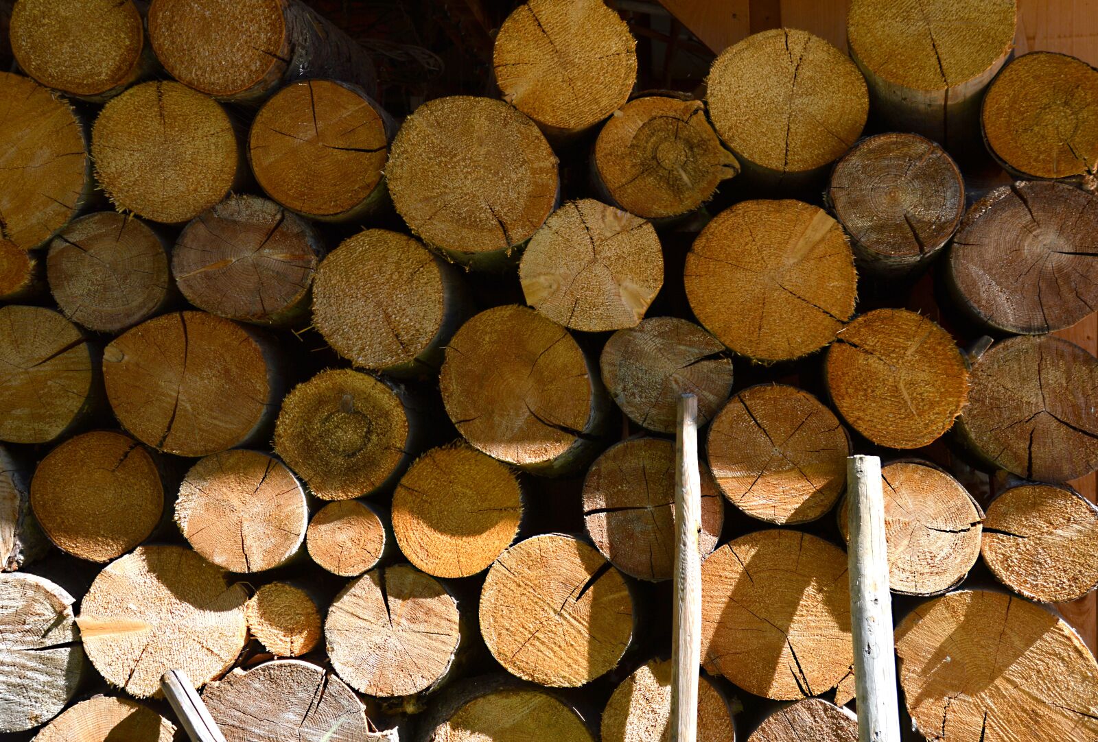 Nikon D3200 sample photo. Background, wood, holzstapel photography