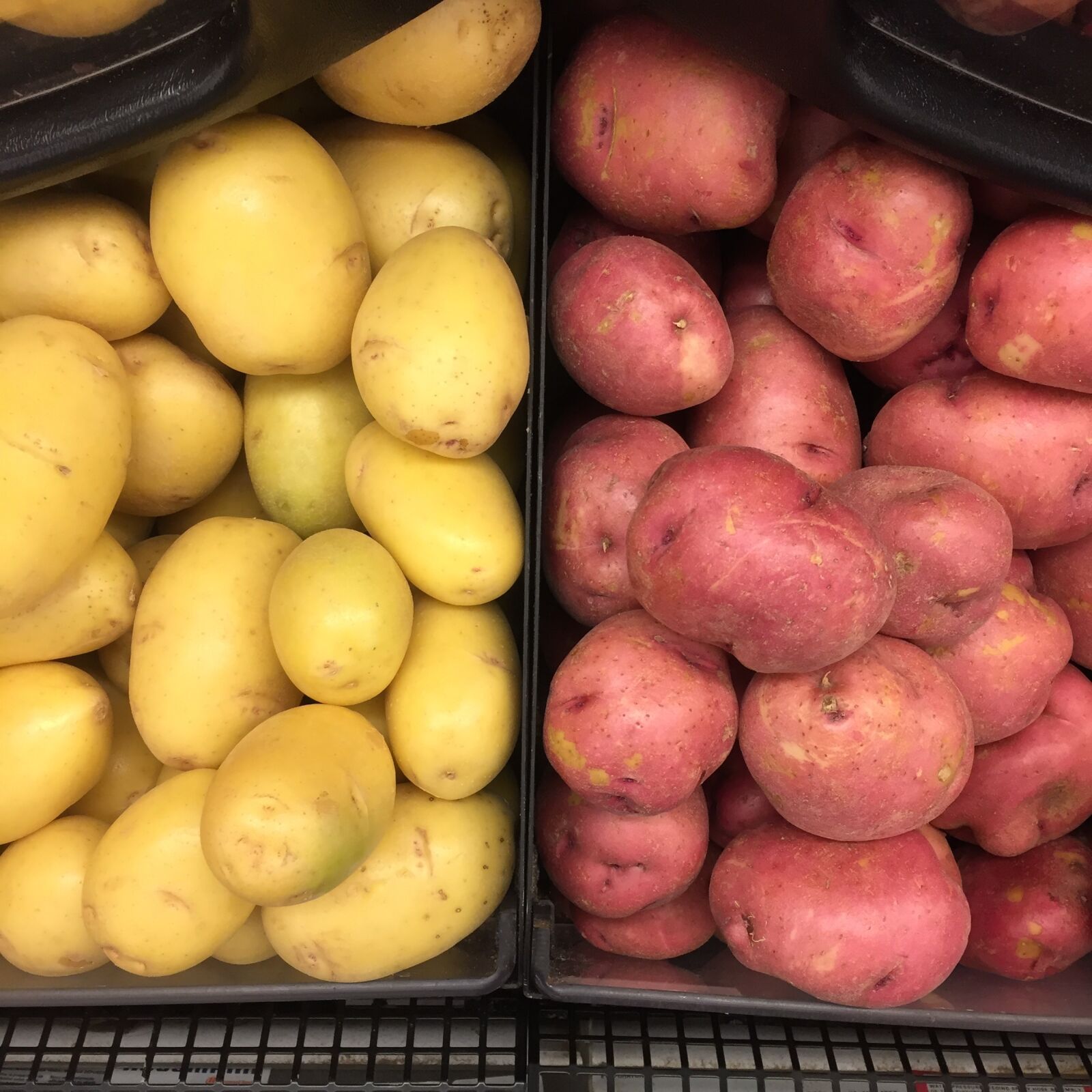 Apple iPhone 6 sample photo. Food, potato, nutrition photography