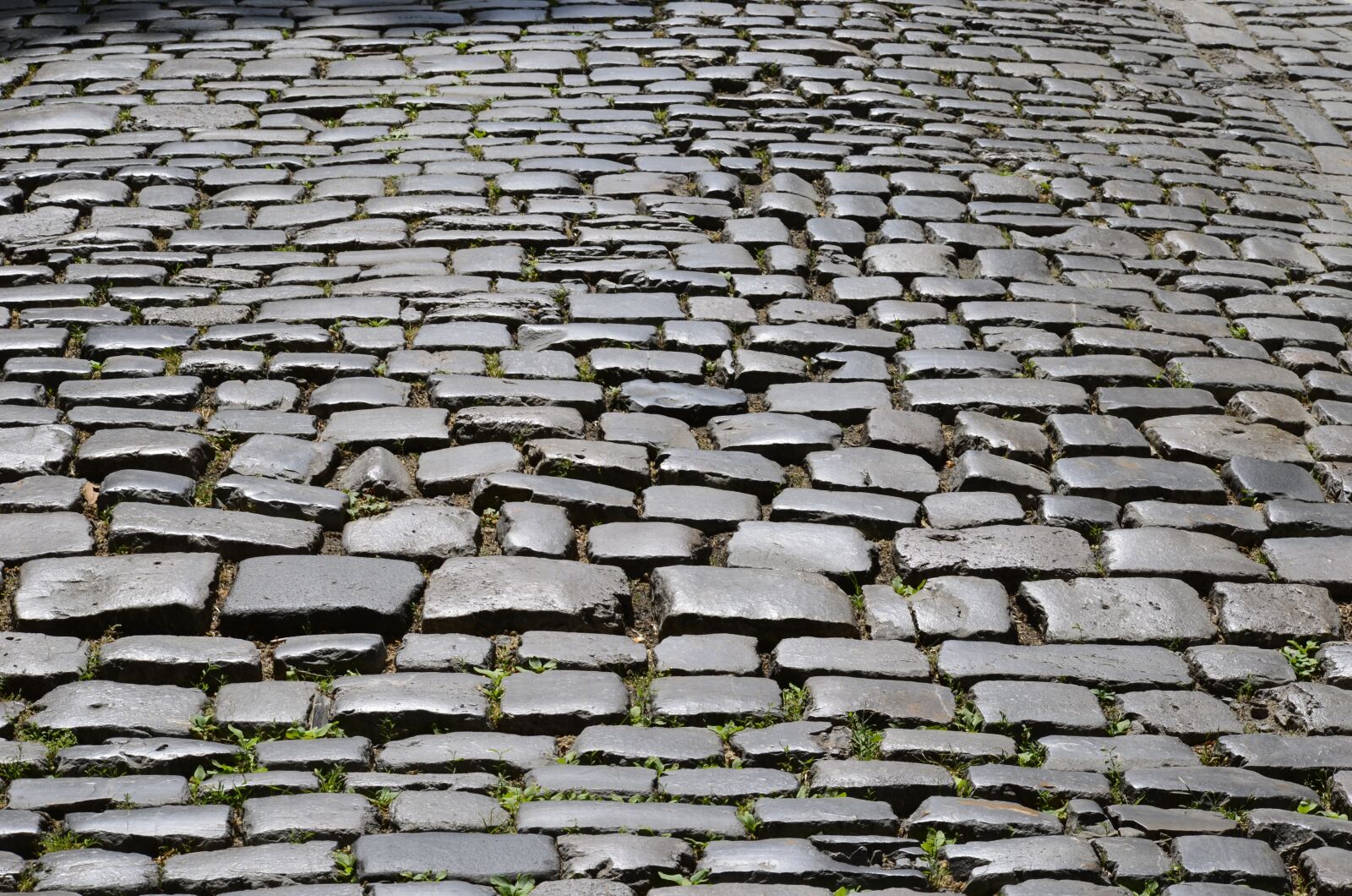 Nikon D5100 sample photo. Cobblestones, road, paving stones photography