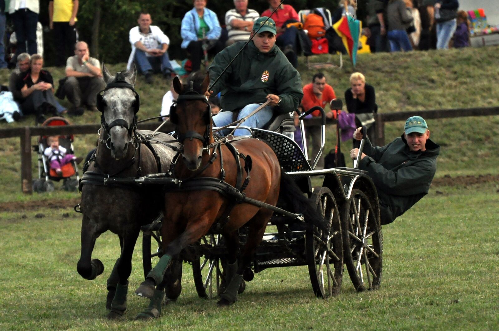 Nikon D90 sample photo. Driving in, speed, horses photography
