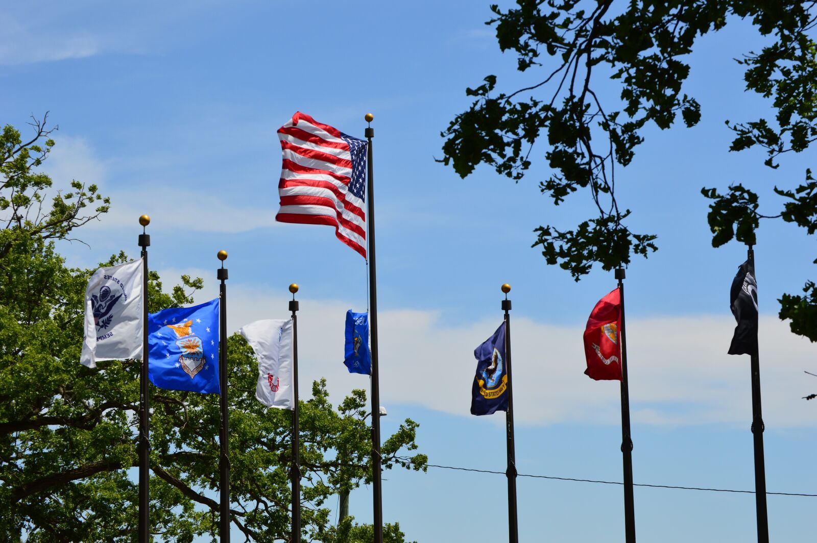 Nikon D3200 sample photo. Veterans day, american flag photography