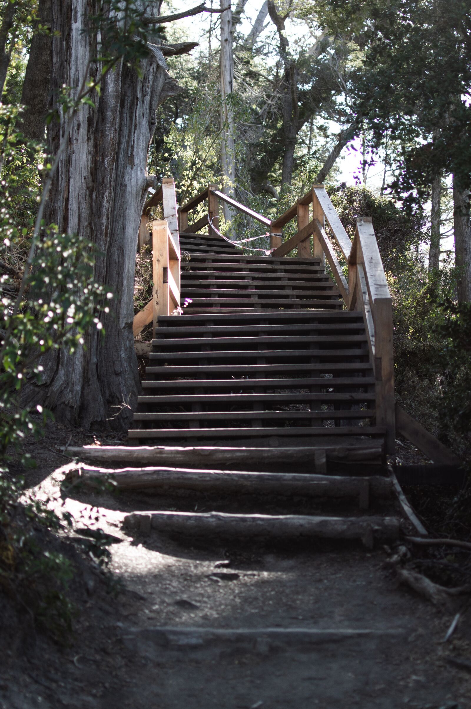 Nikon D3200 sample photo. Stairs, bariloche, patagonia photography