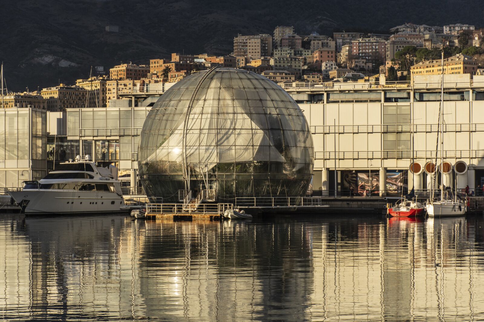 Nikon D7100 sample photo. Genoa, aquarium, sea photography