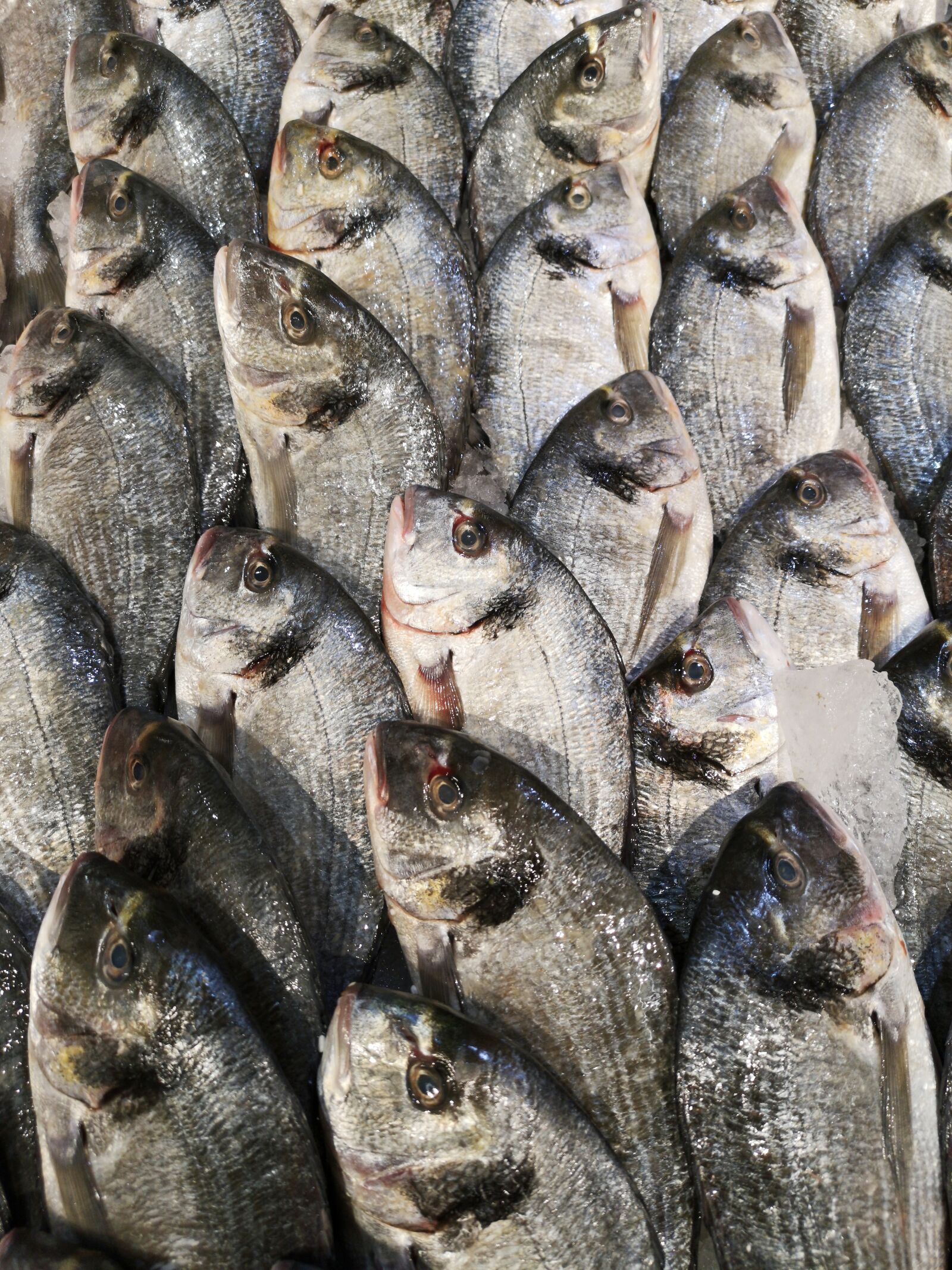 HUAWEI CLT-L09 sample photo. Fish, food, gourmet photography