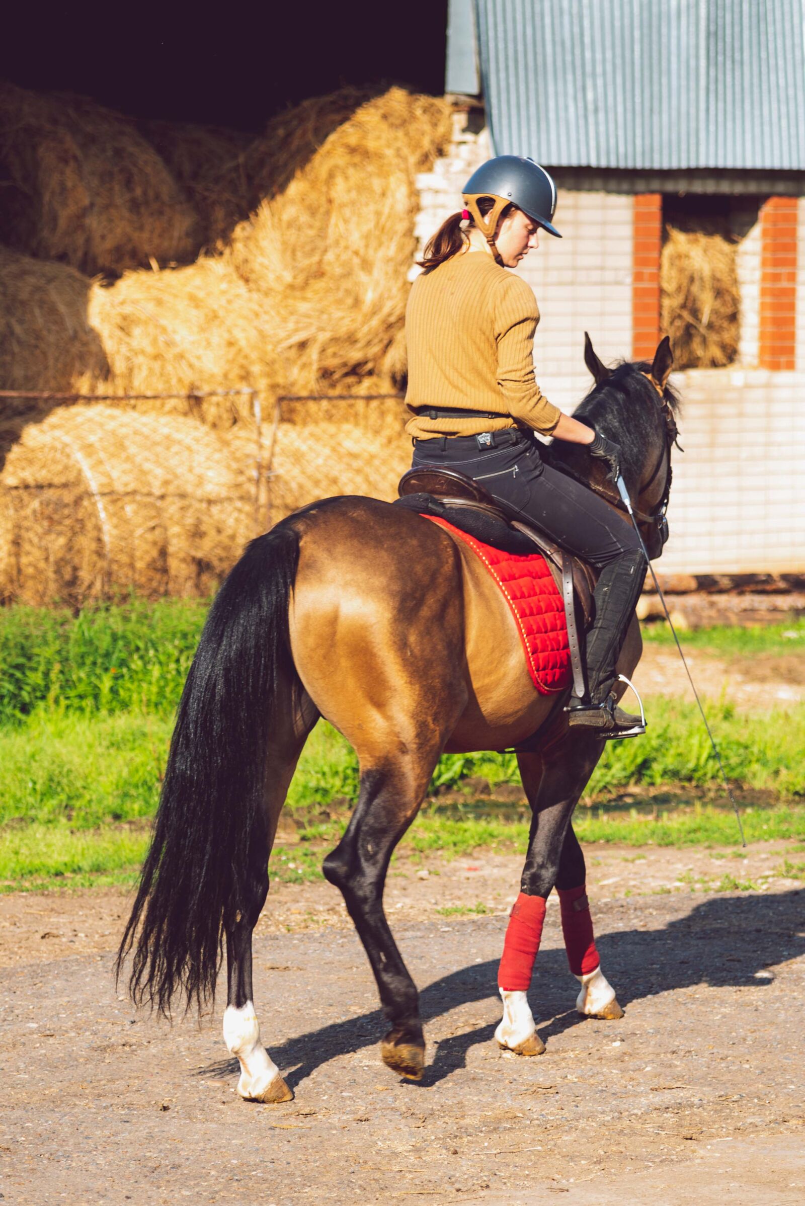 Nikon D750 sample photo. Woman, riding, horse photography