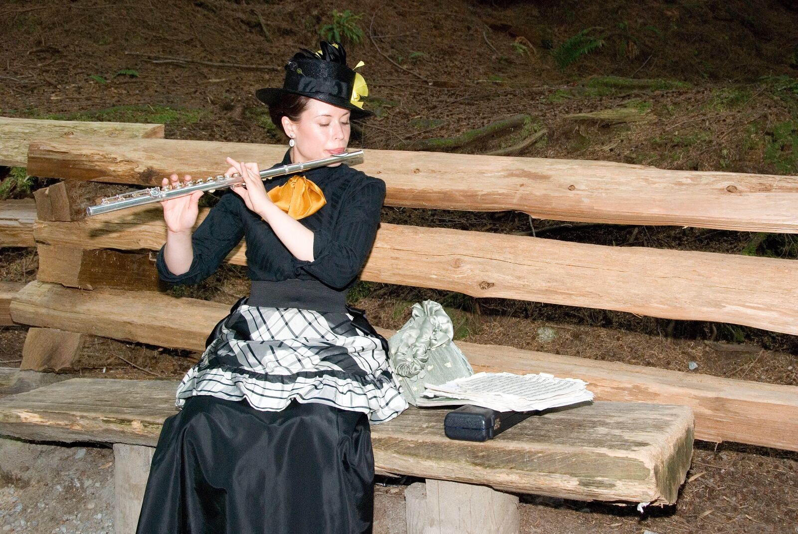 Nikon D80 sample photo. Canada, music, capilano bridge photography