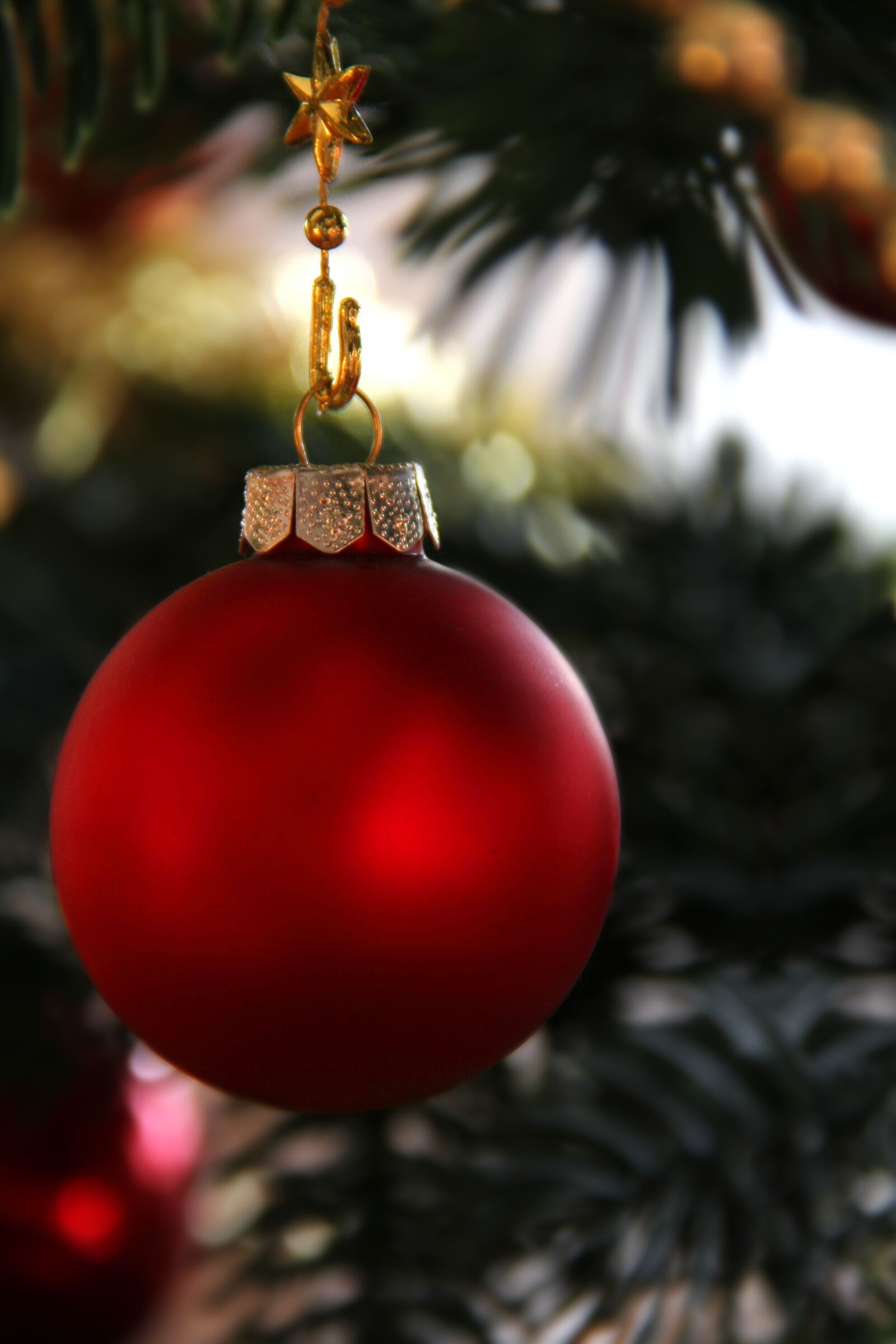 Canon EOS 60D sample photo. Christmas bauble, christmas tree photography