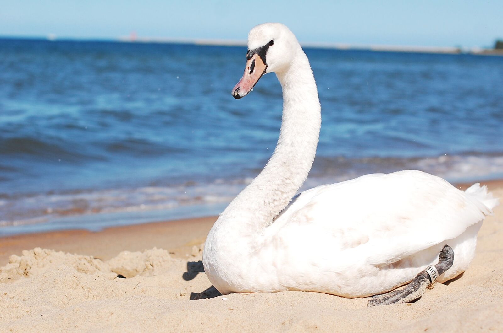 Nikon D40 sample photo. Sea, ocean, water photography