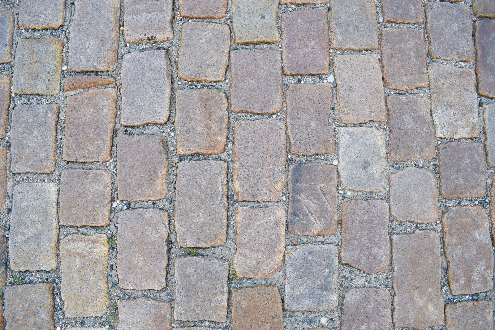 Nikon D5300 sample photo. Cobblestones, patch, road photography