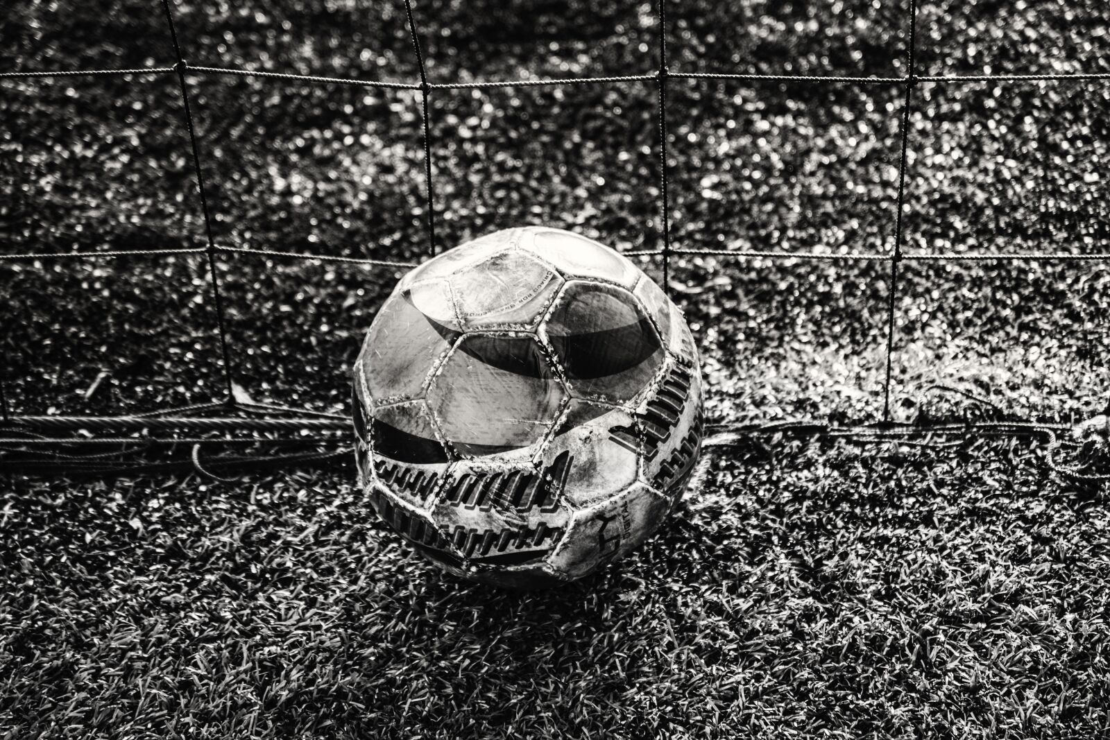 Nikon D3300 sample photo. Football, game, sports photography