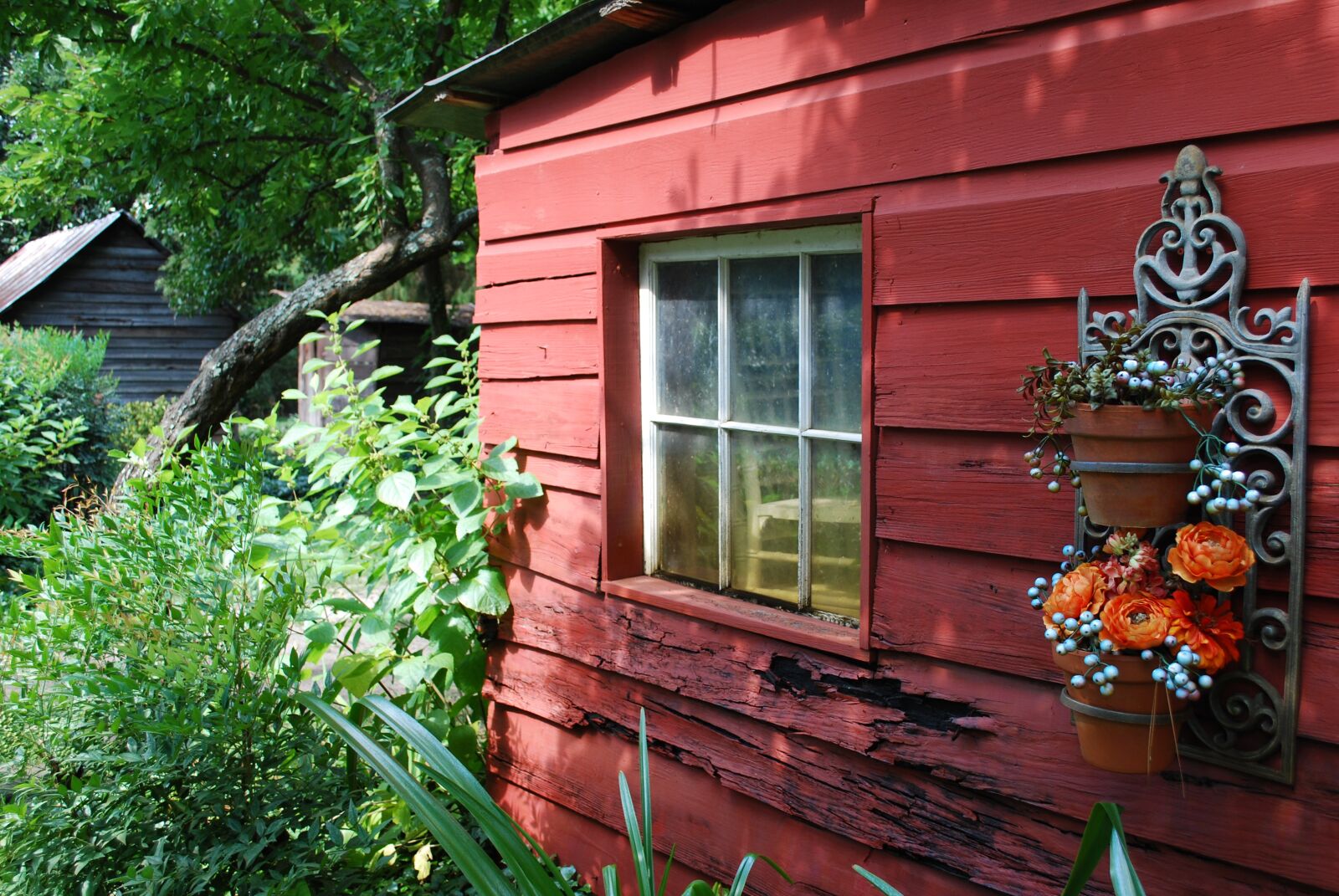 Nikon D60 sample photo. Barn, south carolina, farm photography