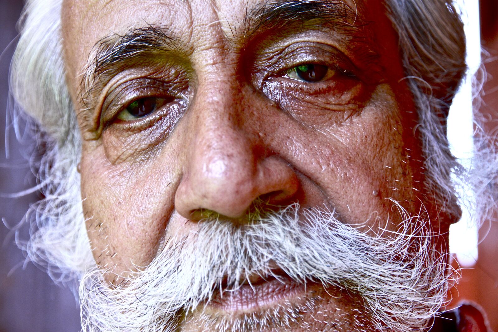 Canon EOS 7D sample photo. Portrait, beard, face photography