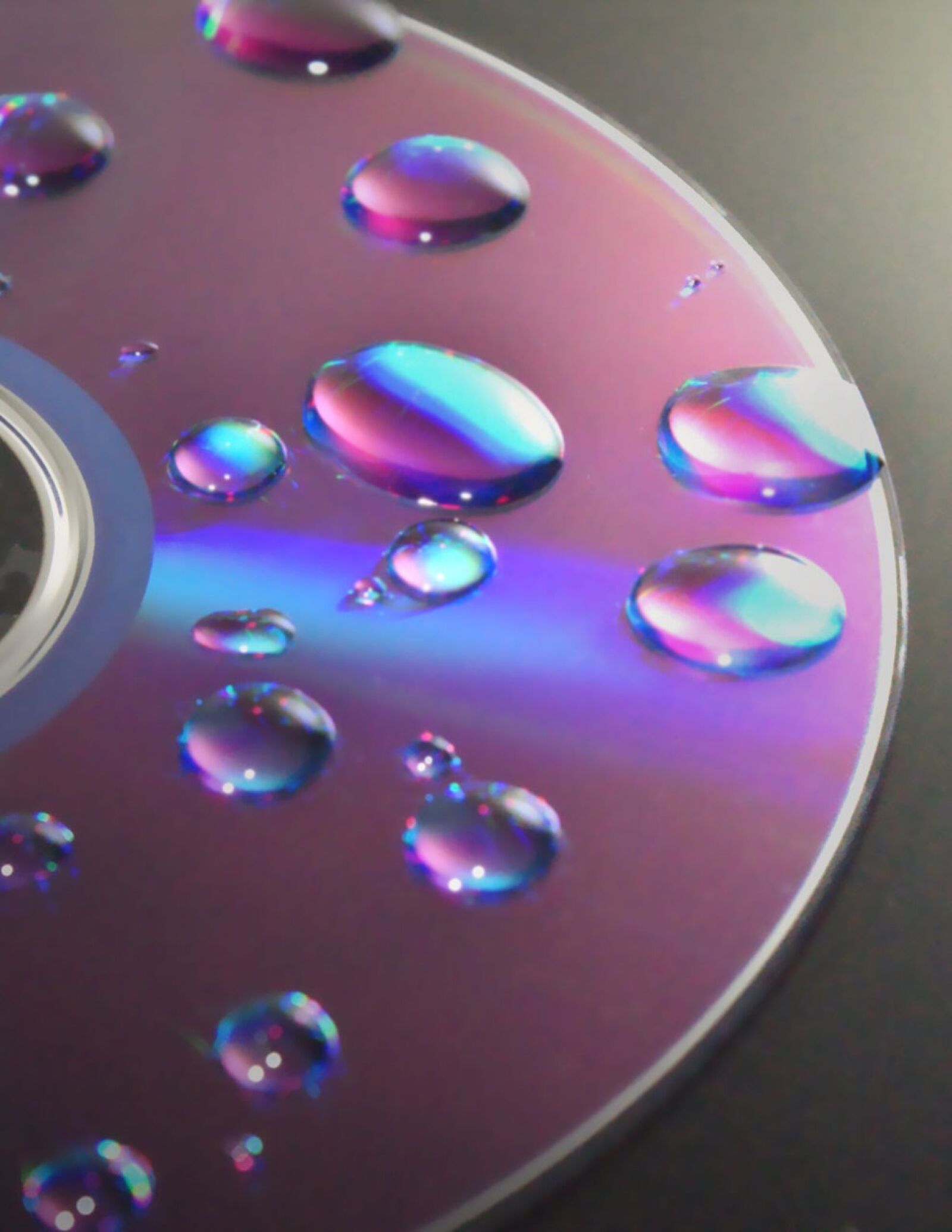 Sony Alpha DSLR-A300 sample photo. Dvd, cd, disc photography