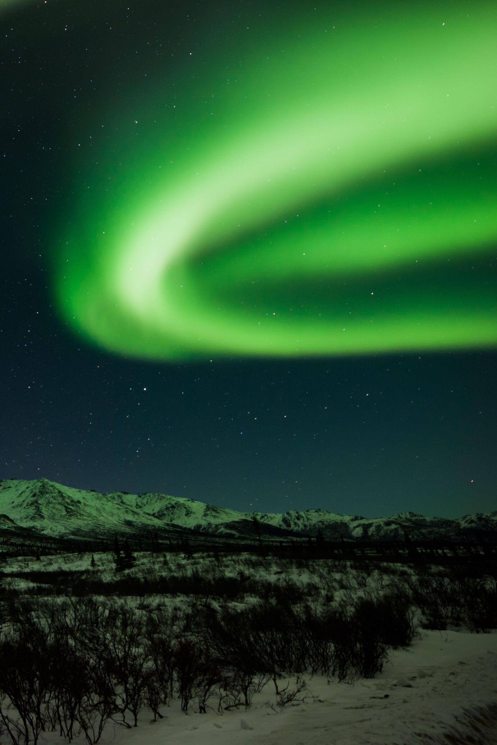 Nikon D810 sample photo. Aurora borealis, northern lights photography