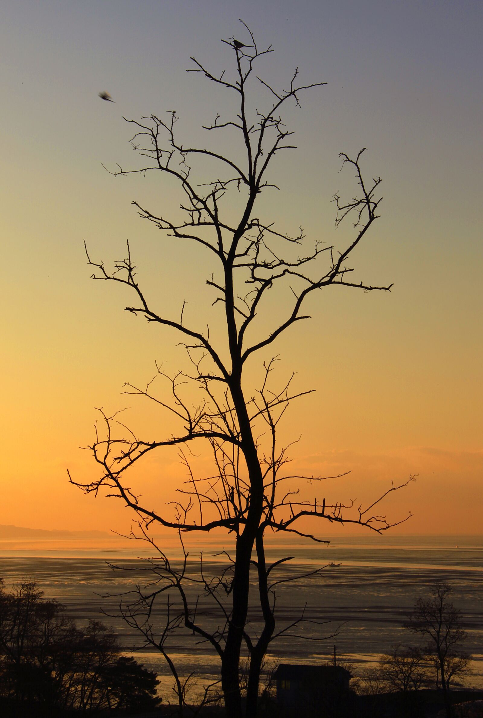 Canon EOS 5D Mark II sample photo. Nature, sunset, sky photography
