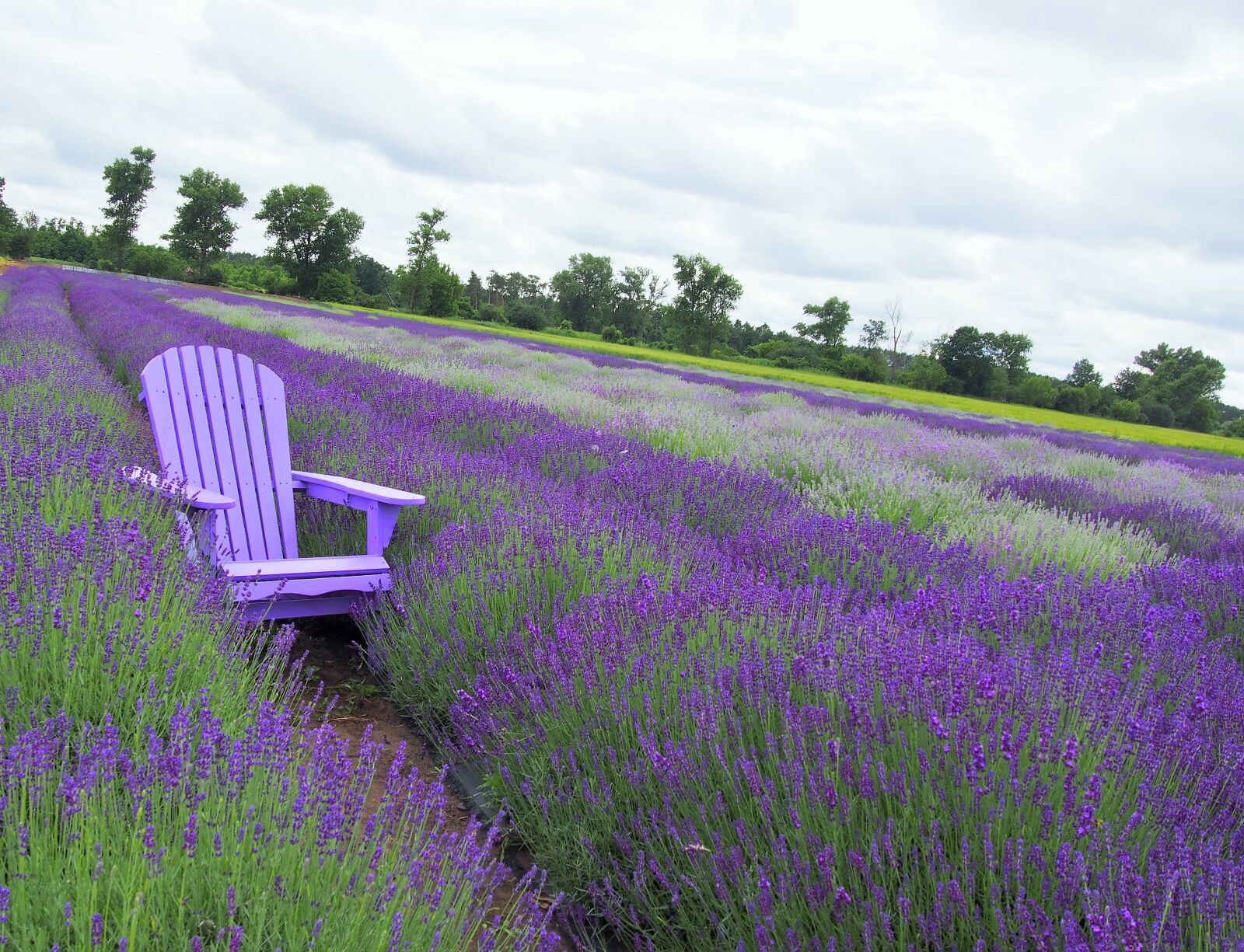 Olympus PEN E-PL6 sample photo. Slovakia, nature, field photography