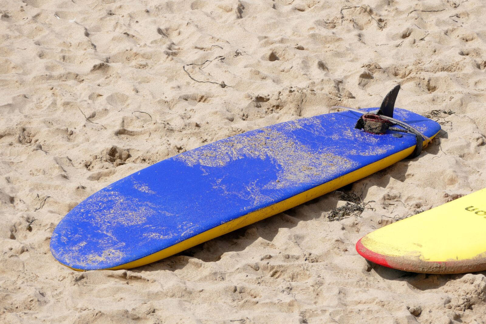 Panasonic Lumix DMC-FZ1000 sample photo. Beach, surf board, surf photography
