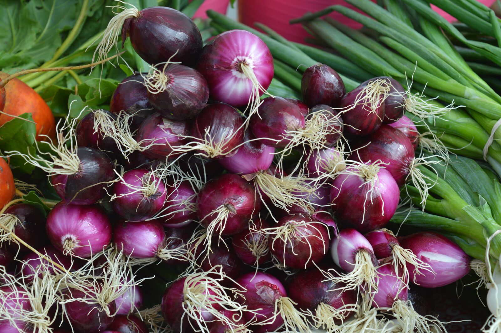 Nikon D3200 sample photo. Onions, red, green vegetables photography