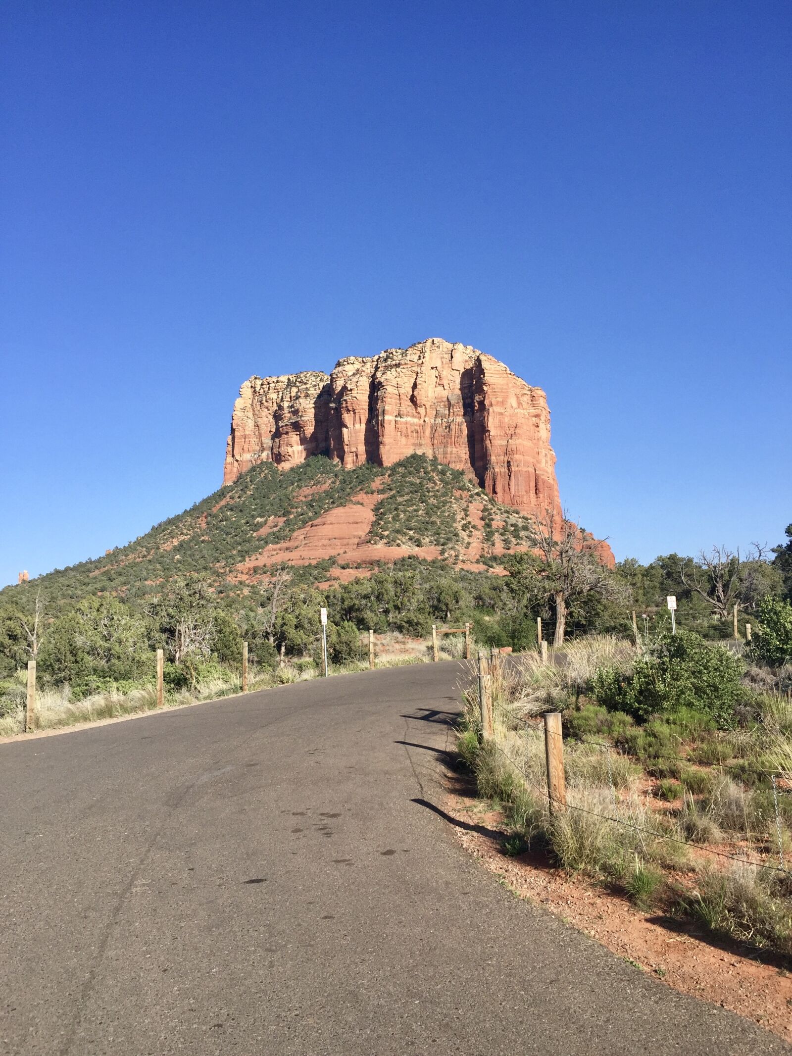 iPhone 6 Plus back camera 4.15mm f/2.2 sample photo. Arizona, nature, sedona photography