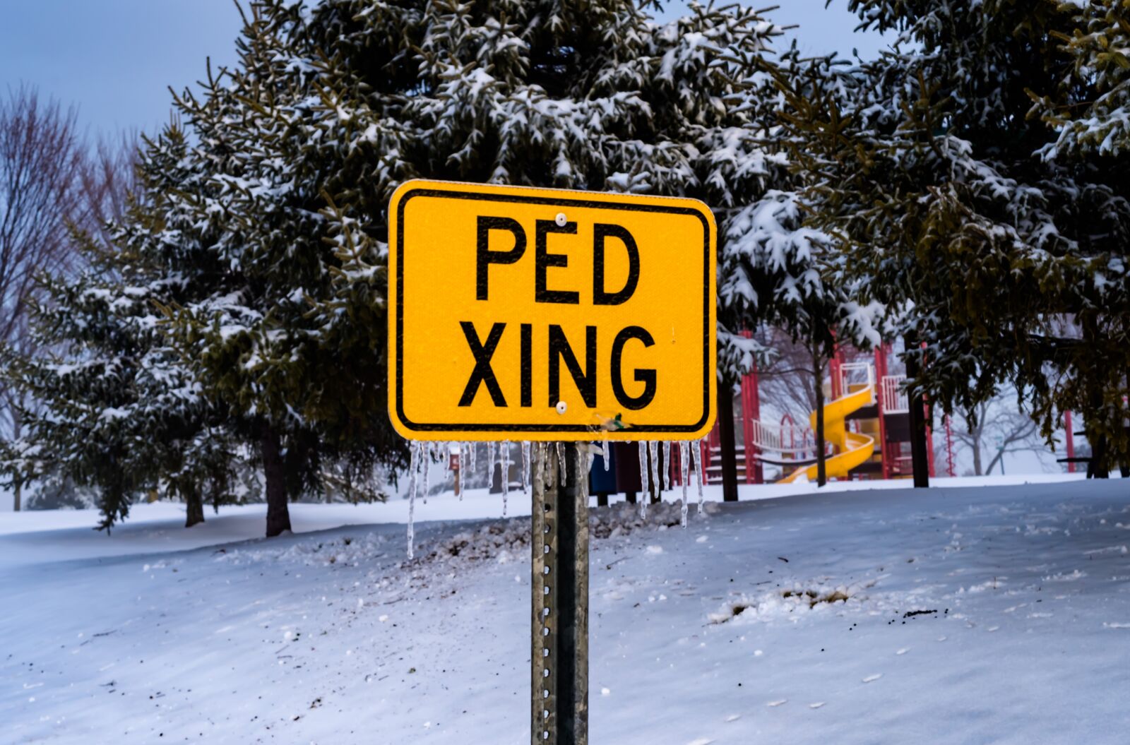 Nikon D750 sample photo. Snow, sign, nature photography