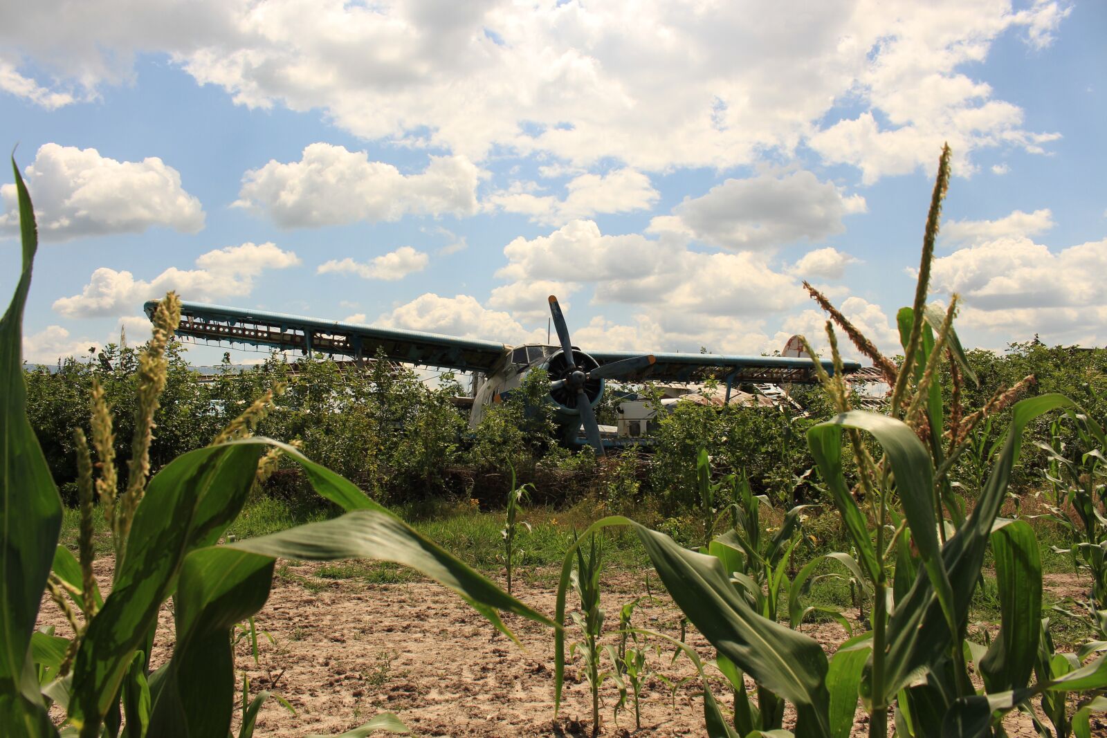 Canon EOS 700D (EOS Rebel T5i / EOS Kiss X7i) sample photo. Aircraft, cornfield, old photography