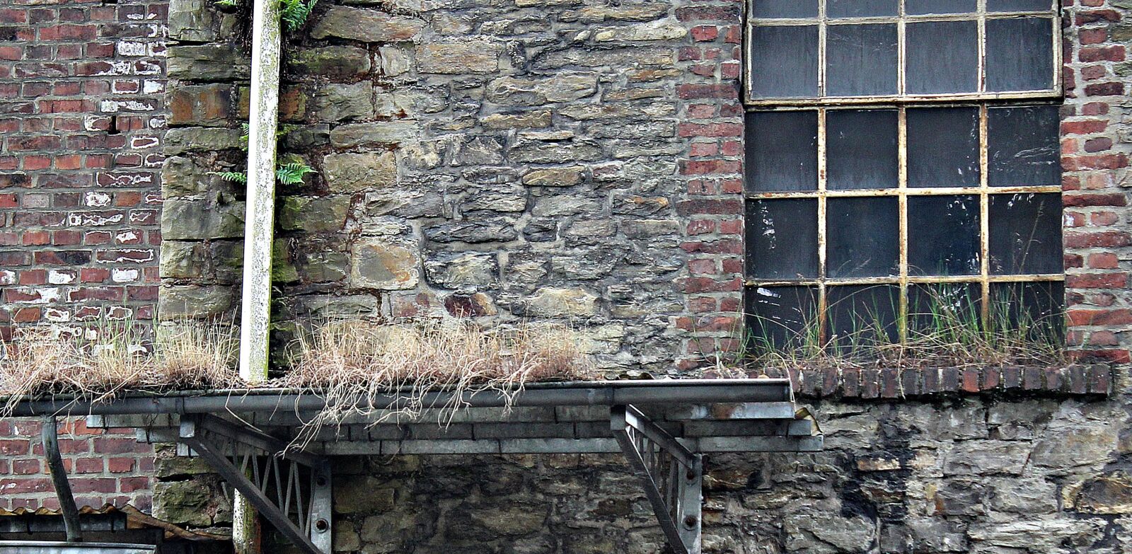 Canon EOS 550D (EOS Rebel T2i / EOS Kiss X4) sample photo. Factory, abandoned, old factory photography