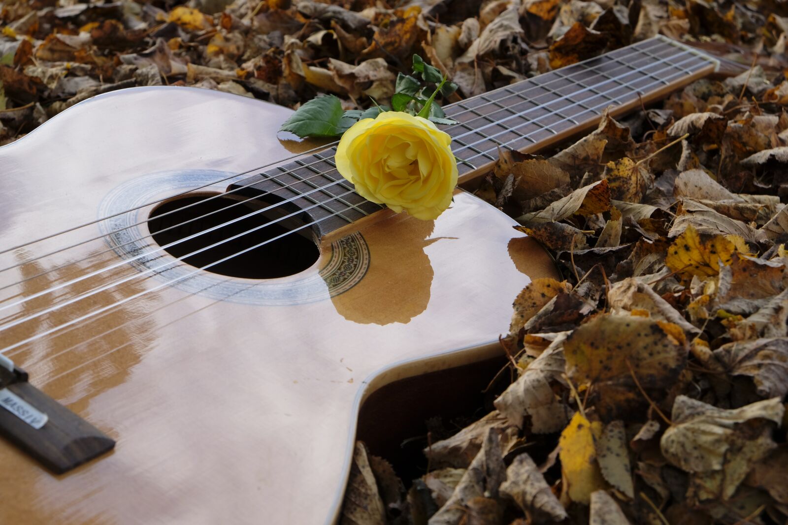 Fujifilm XF 18-55mm F2.8-4 R LM OIS sample photo. Guitar, instrument, musical instrument photography