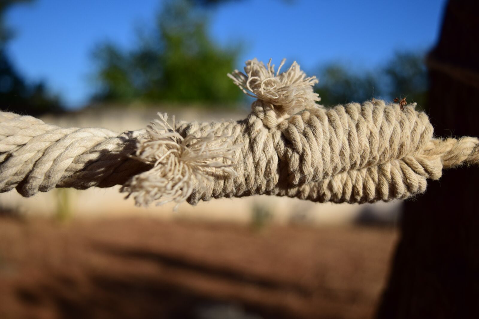 Nikon D3300 sample photo. Knitting, rope, knot photography