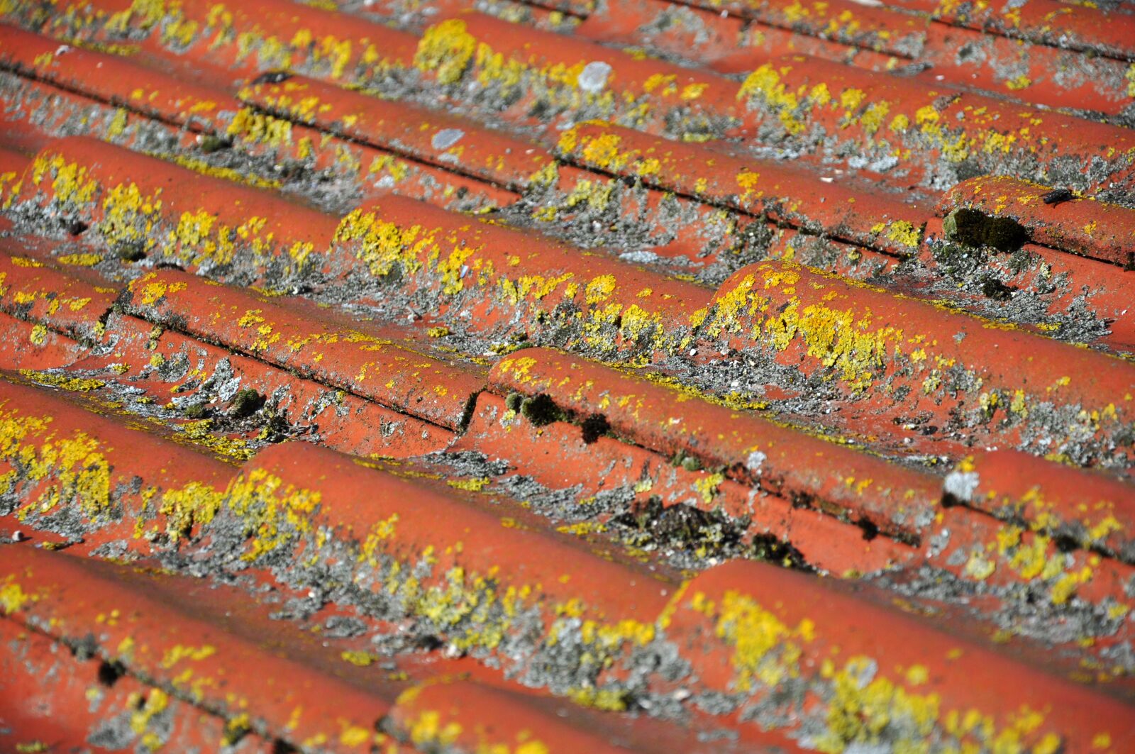 Nikon D90 sample photo. Roof, tile, clay tiles photography