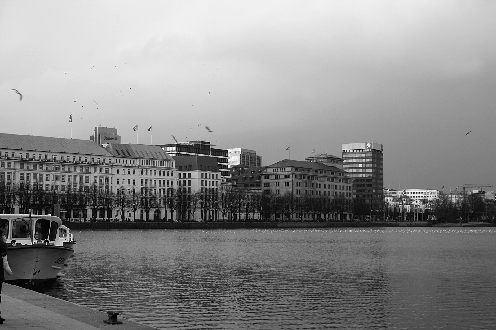 Canon EOS 1000D (EOS Digital Rebel XS / EOS Kiss F) sample photo. Hamburg, hamburgensien, alster photography