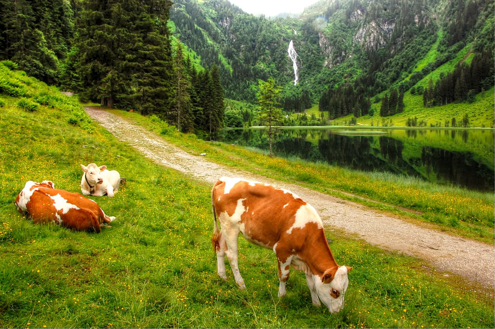 Nikon D40 sample photo. Schladming, lake constance, austria photography