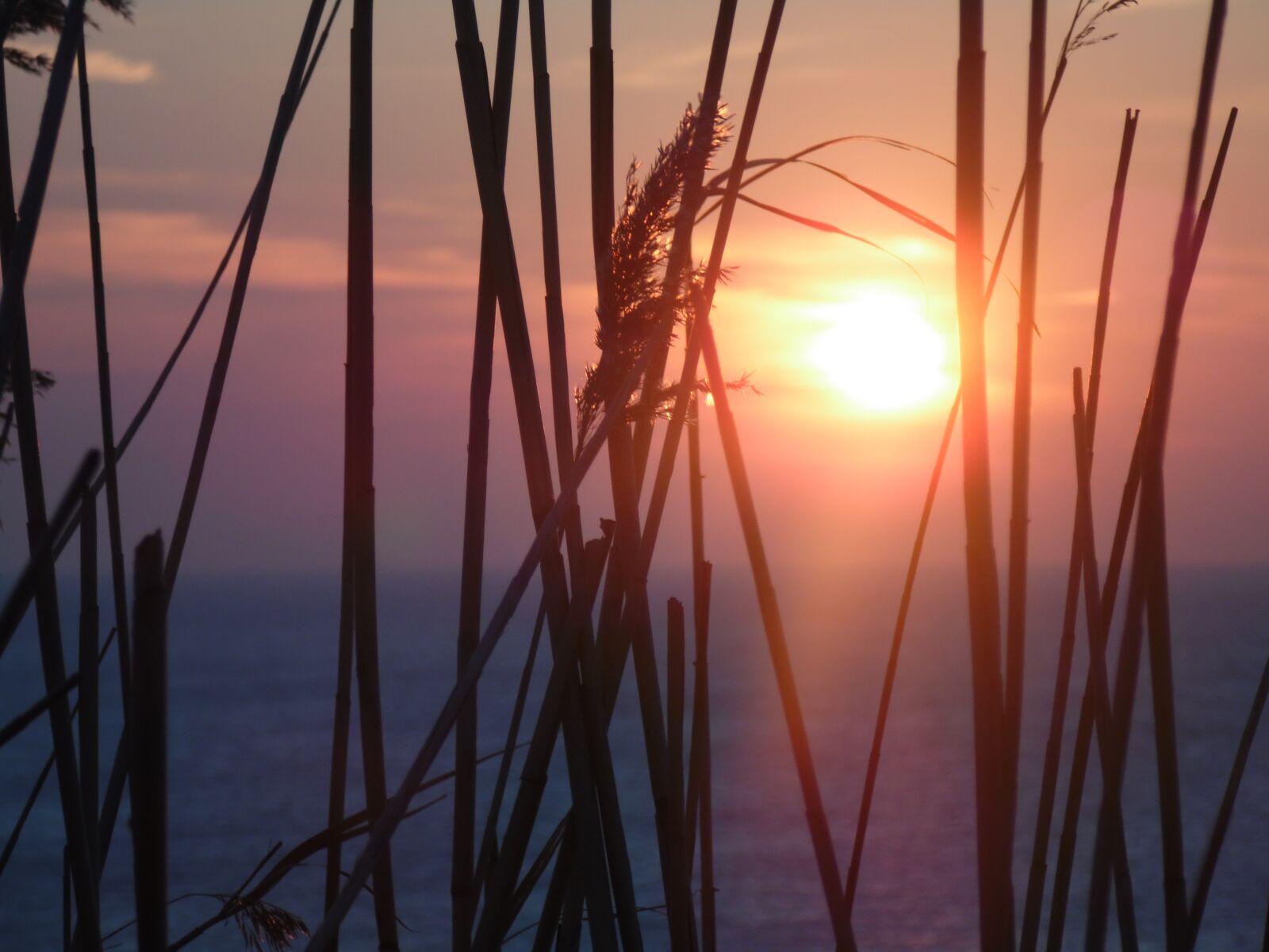 Samsung WB110/  WB111 sample photo. Heat wave, sunrise, summer photography
