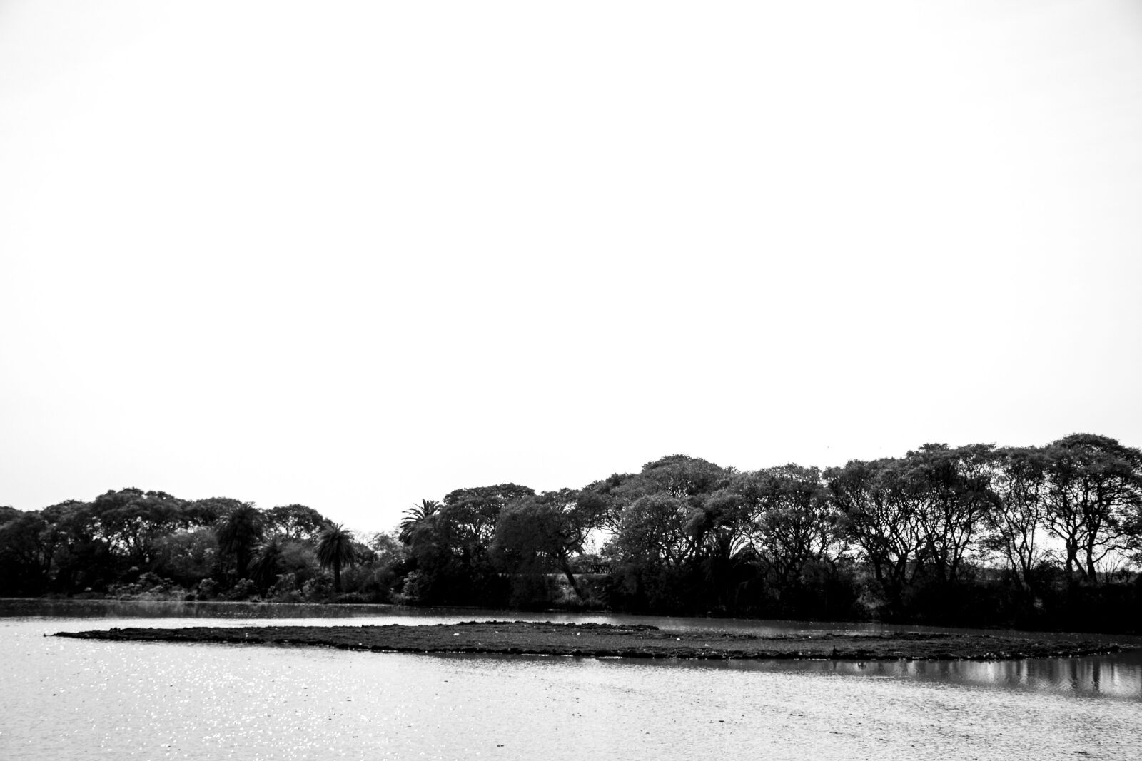 Nikon D7200 sample photo. Black, withe, peace photography