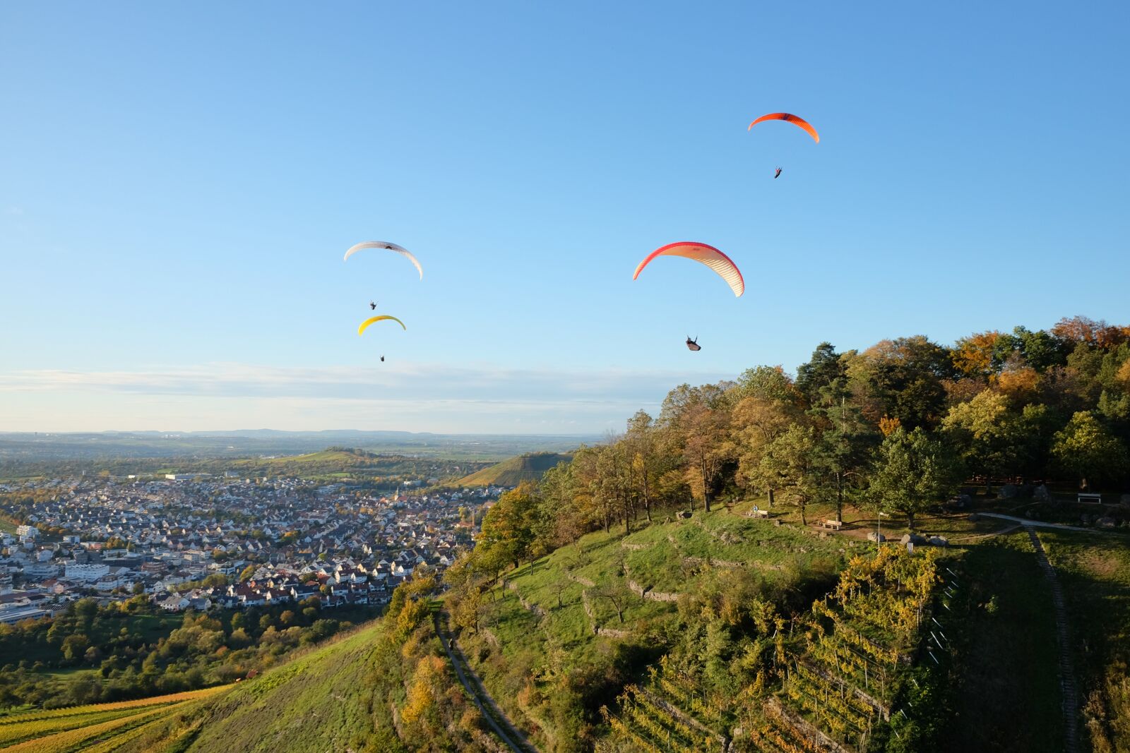 Fujifilm X70 sample photo. Paragliding, vineyards, flying photography
