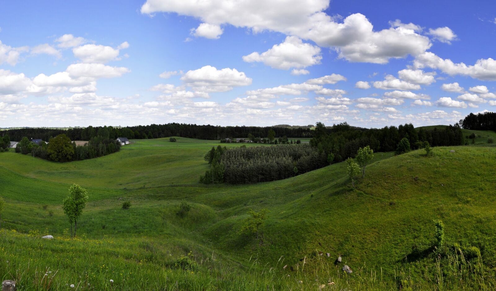 Nikon D5000 sample photo. Lawn, nature, landscape photography