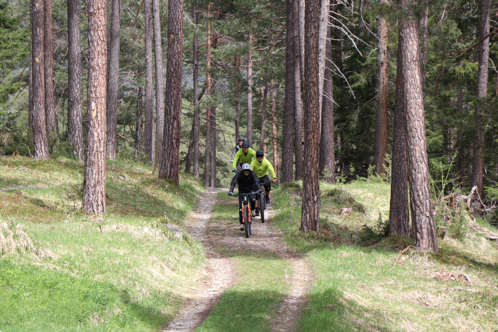 Canon EF-S 18-135mm F3.5-5.6 IS USM sample photo. Bike, nature, forest photography