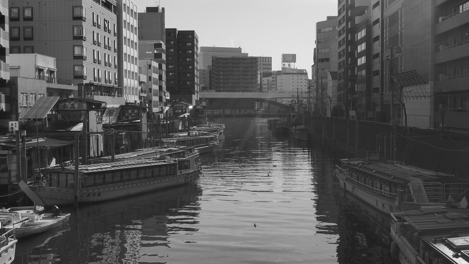 Olympus OM-D E-M1 Mark II + Olympus M.Zuiko Digital ED 12-40mm F2.8 Pro sample photo. The kanda river, 船宿, houseboat photography