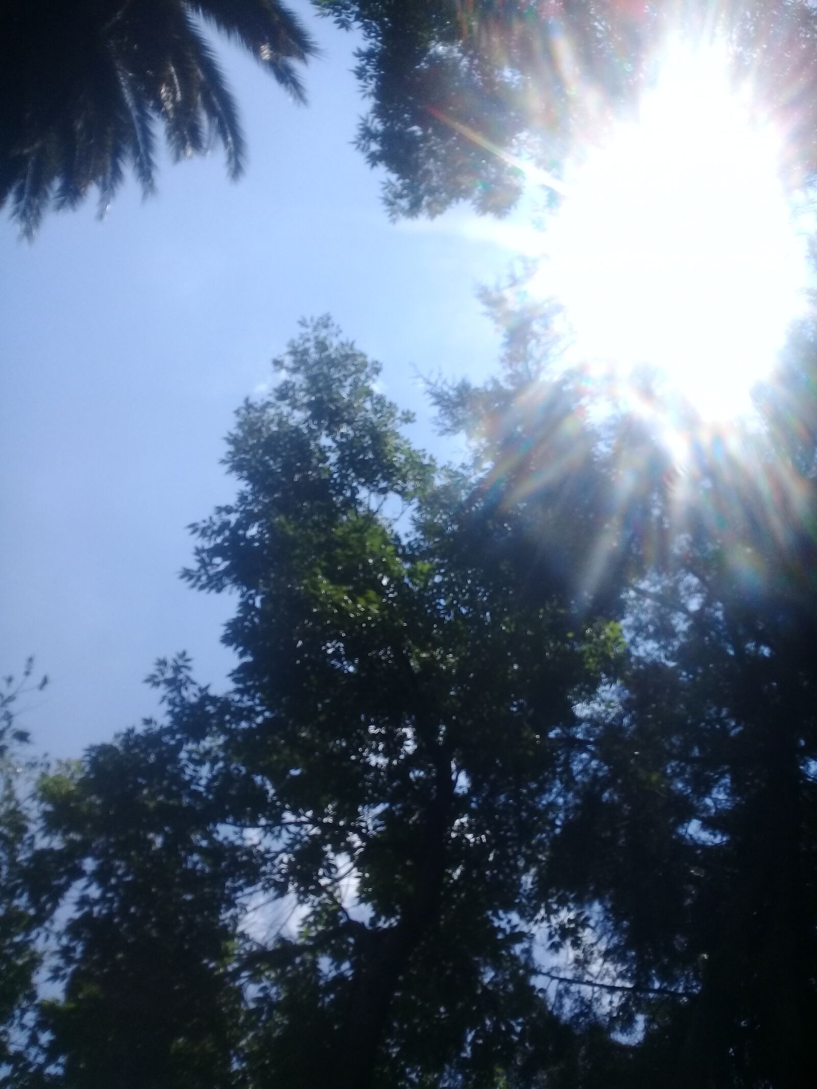 Samsung Galaxy J2 Prime sample photo. Sun, sky, blue photography