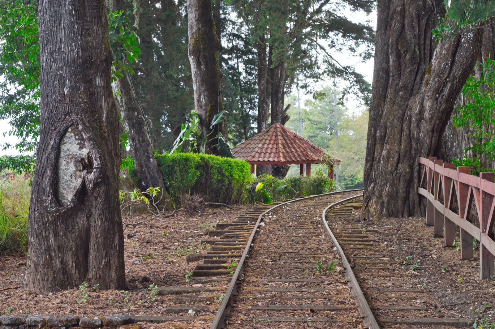 Nikon D3200 sample photo. Rail, peace, costa rica photography