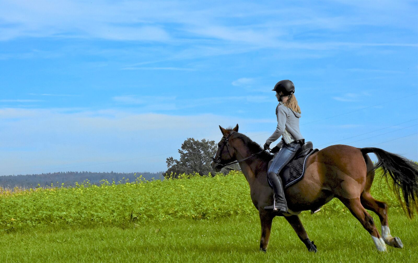 Nikon D7200 sample photo. Ride, horse, equestrian photography