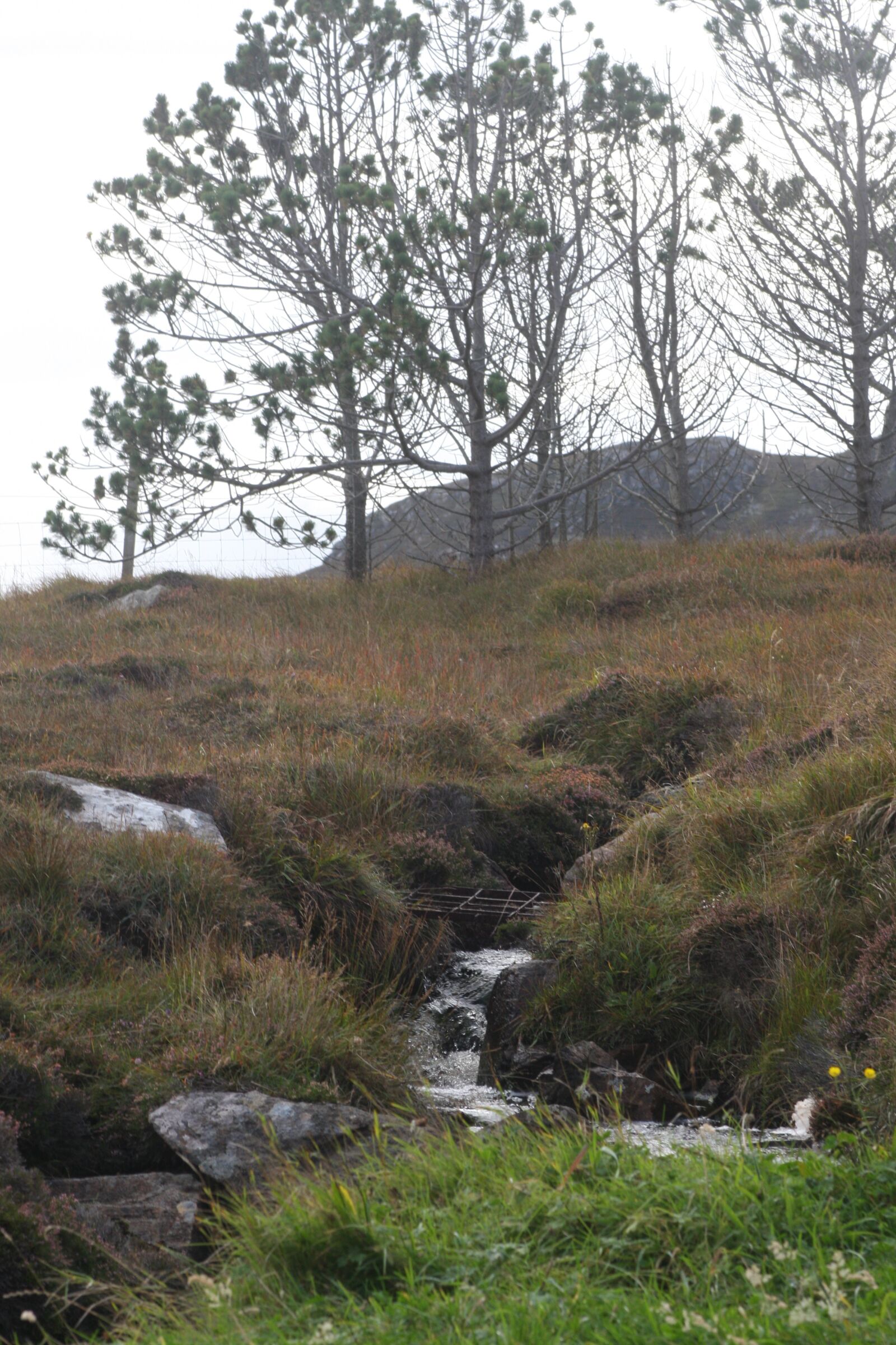 Canon EOS 40D sample photo. Isle of lewis, landscape photography