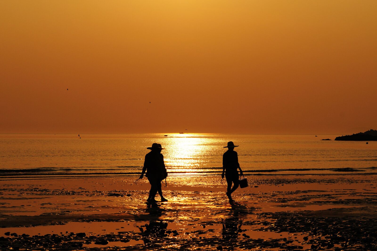 Nikon D300S sample photo. Beach, sunset, silhouette photography