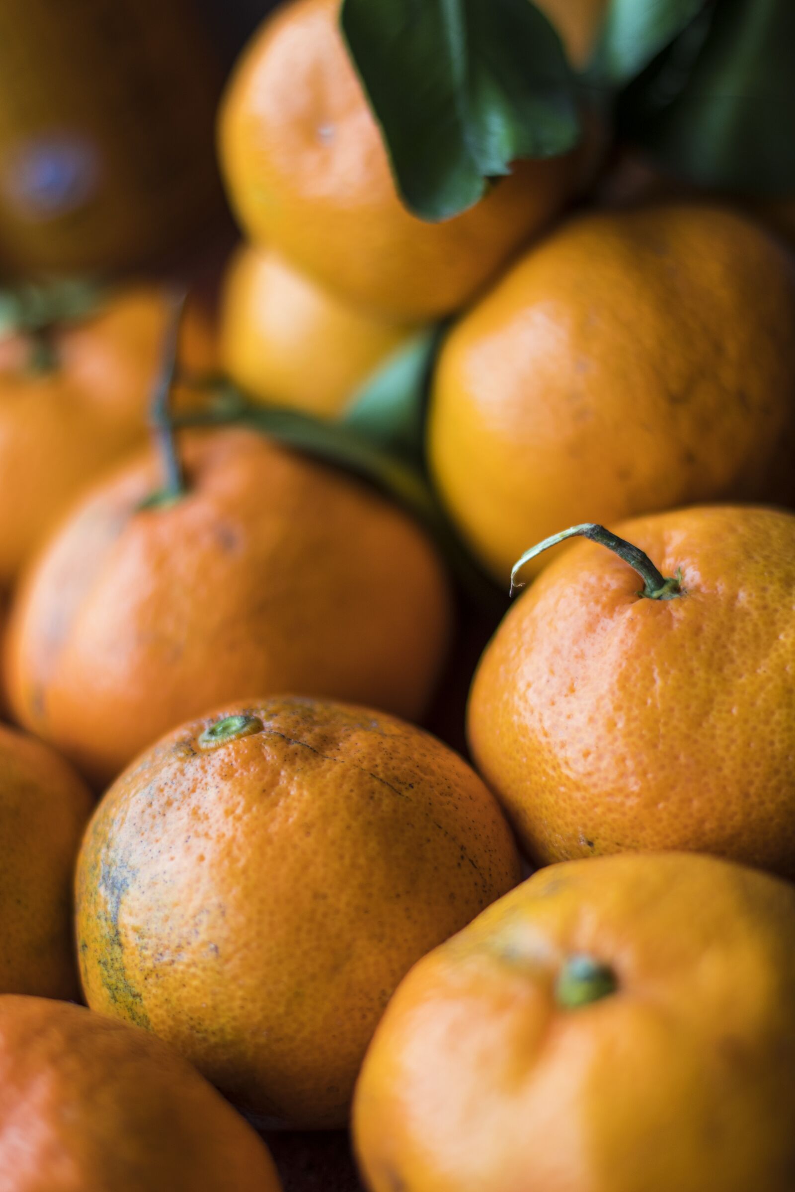 Canon EOS 80D + Canon EF 50mm F1.4 USM sample photo. Orange, fruit, food photography