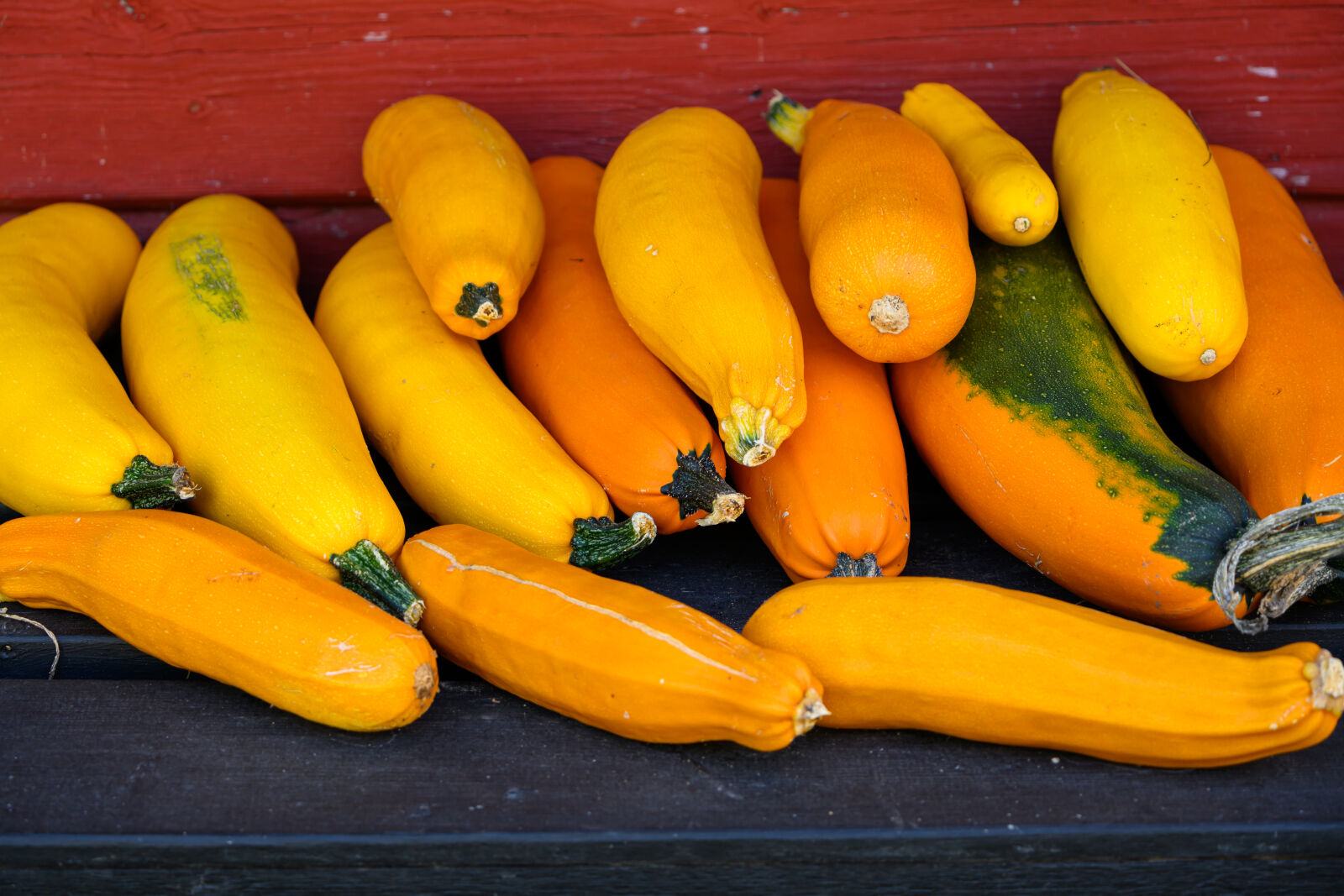 Nikon Z8 sample photo. Autumn harvest photography
