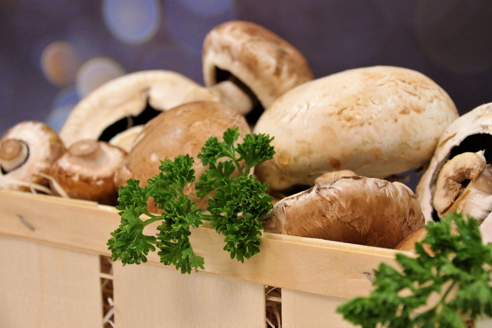 Canon EOS 700D (EOS Rebel T5i / EOS Kiss X7i) sample photo. Mushrooms, delicious, nutrition photography
