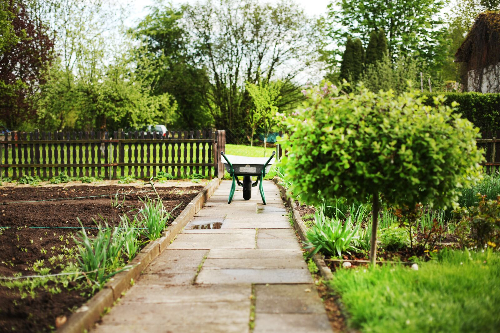 Canon EOS-1Ds Mark III sample photo. Wheelbarrows, garden, karrette photography