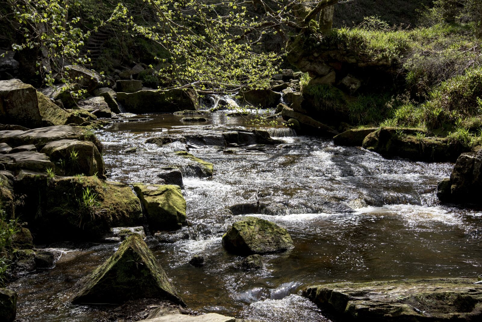 Nikon D750 sample photo. River, rocks, environment photography